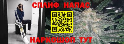spice Краснодар