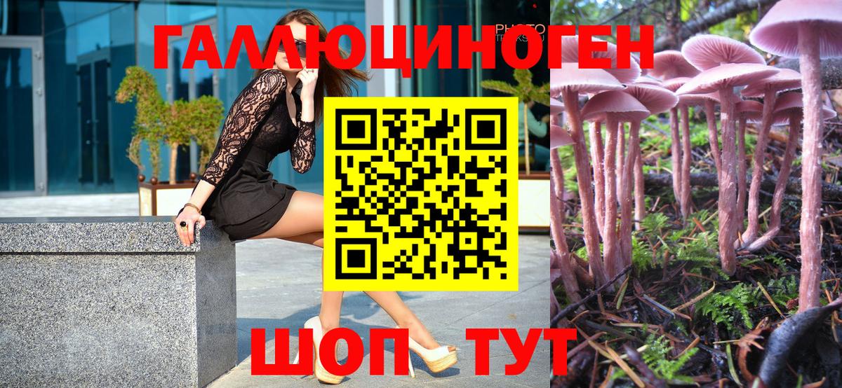 Псилоцибиновые грибы GOLDEN TEACHER  Псилоцибиновые грибы мухоморы  дарнет шоп  Дербент  Вход с VPN 